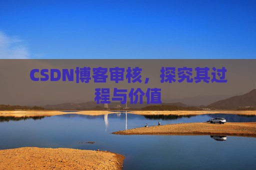 CSDN博客审核，探究其过程与价值